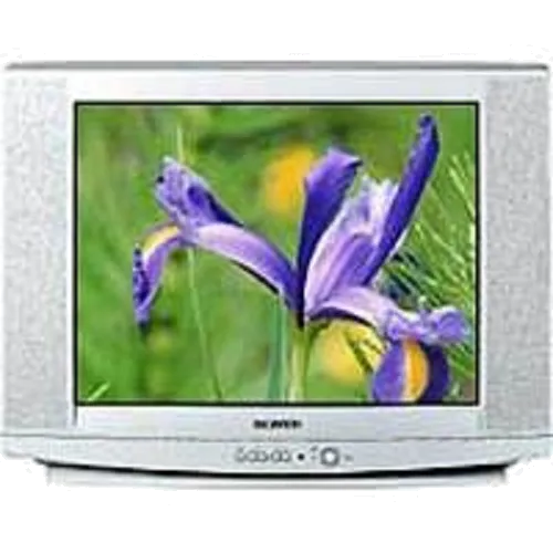Замена контроллера Samsung CS-29U2 WTR