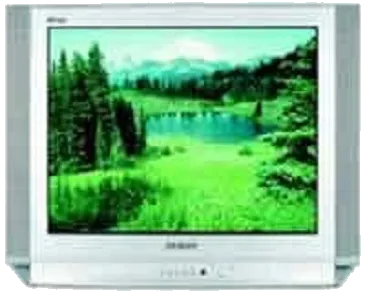 Замена контроллера Samsung CS-29D8 WTR