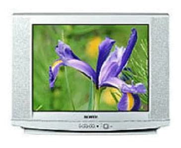 Замена контроллера Samsung CS-29U2 WTQR